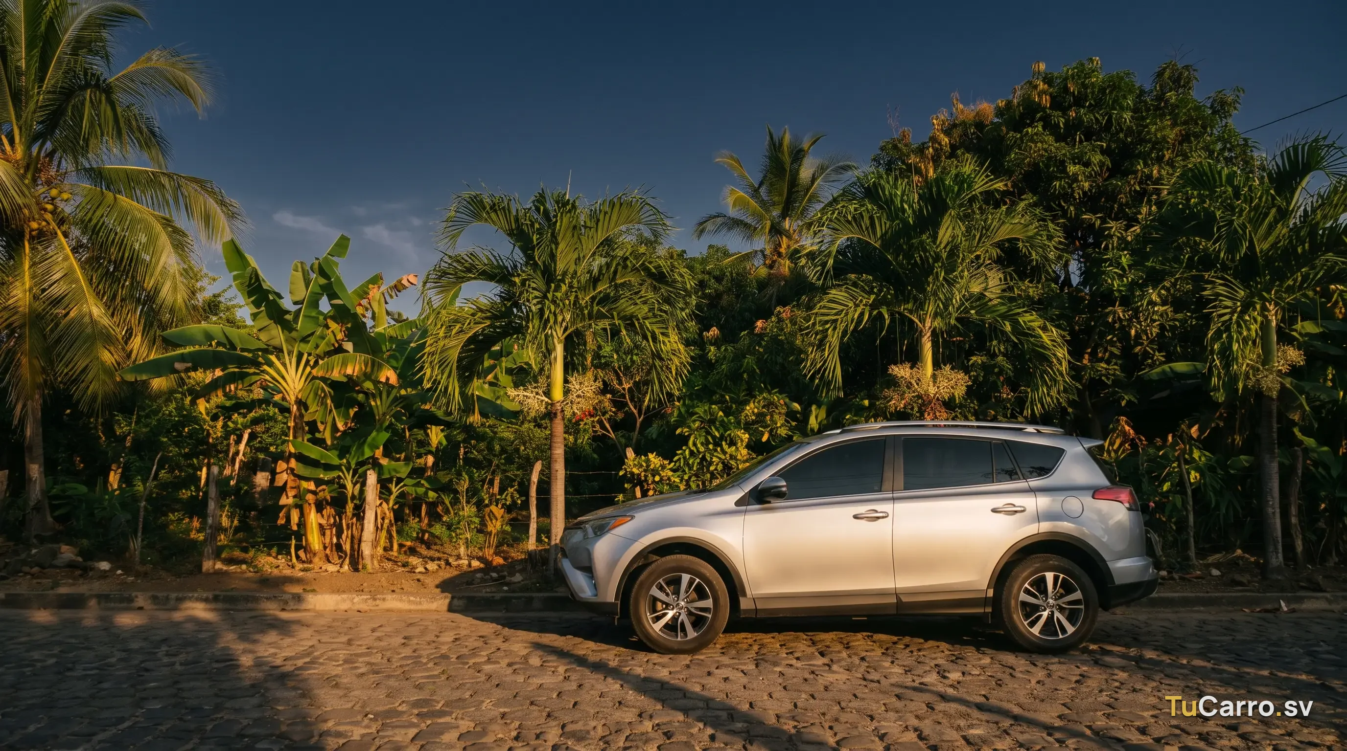 Toyota RAV4 XLE plateado estacionado en calle de El Salvador, vegetación tropical al fondo, luz dorada de tarde