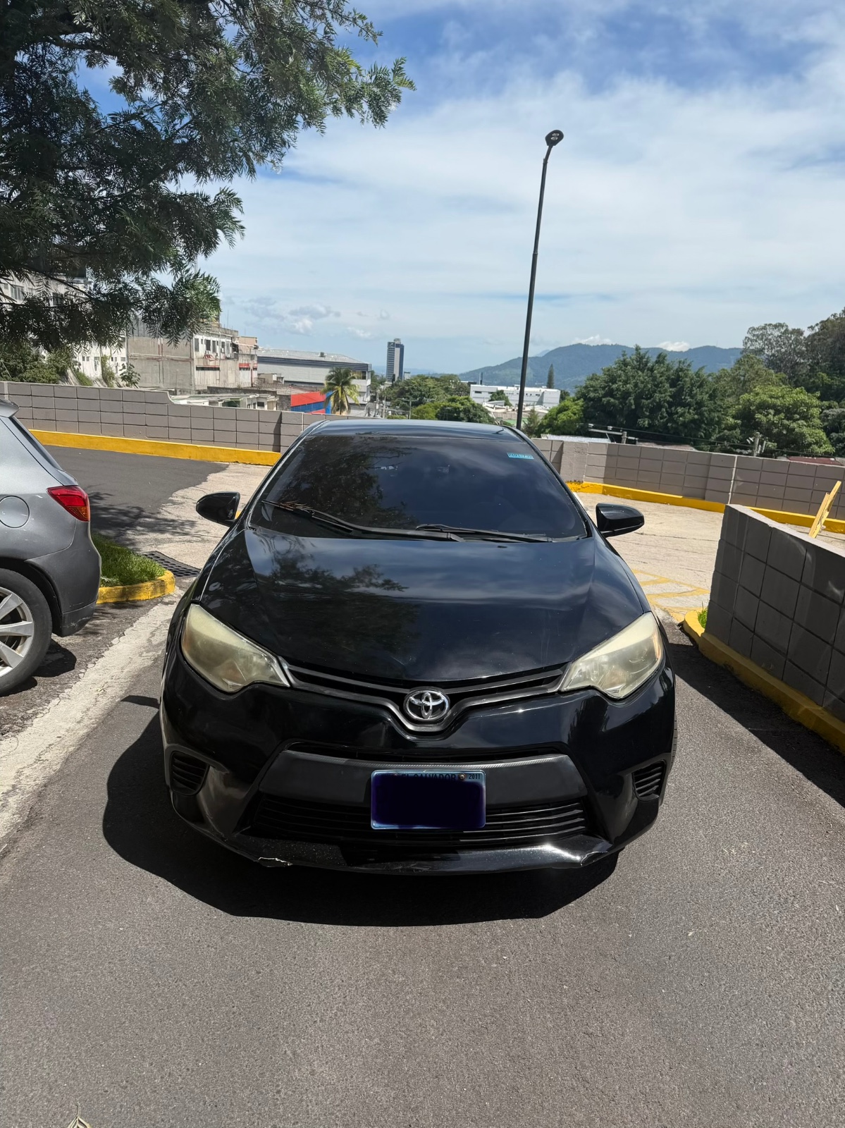 Foto del vehículo